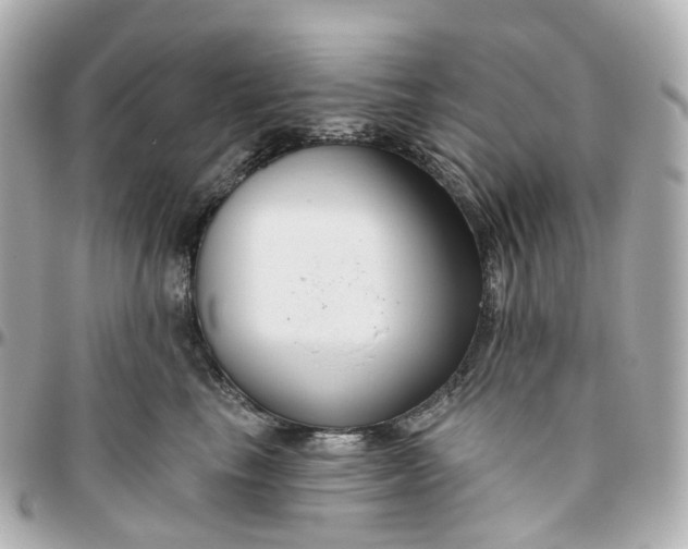 X0000095920665200802011214