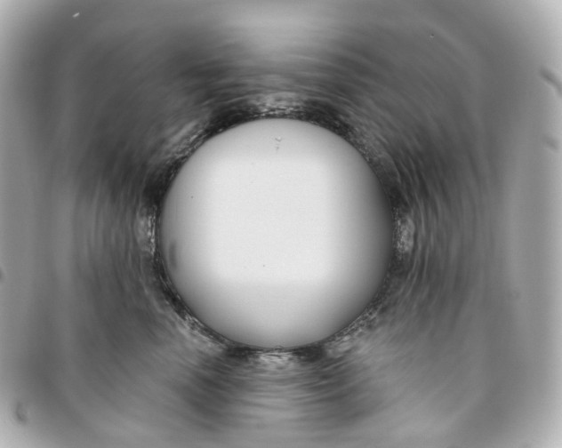 X0000095920666200802011214