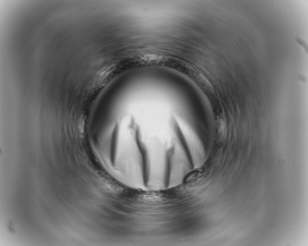 X0000095920668200802011214