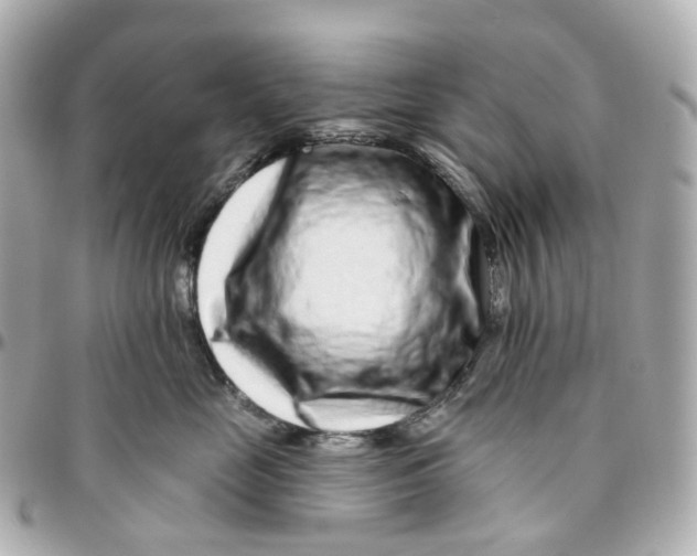 X0000095920669200802011214