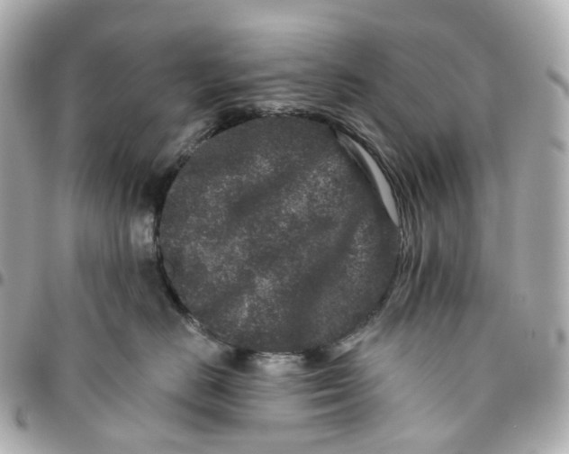 X0000095920670200802011214