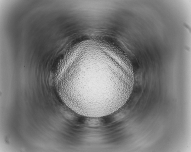 X0000095920671200802011214