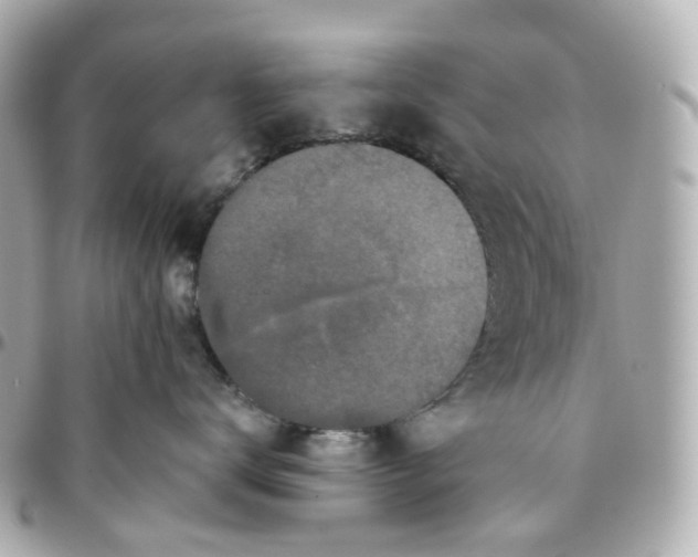 X0000095920672200802011214