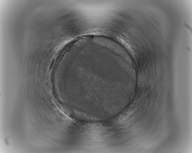 X0000095920673200802011213