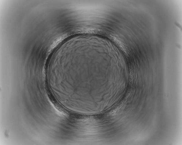 X0000095920674200802011213