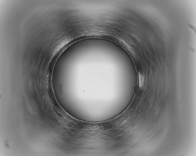 X0000095920675200802011213