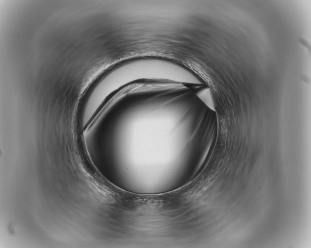 X0000095920676200802011213