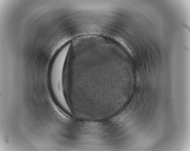 X0000095920677200802011213