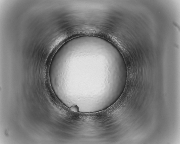 X0000095920679200802011213