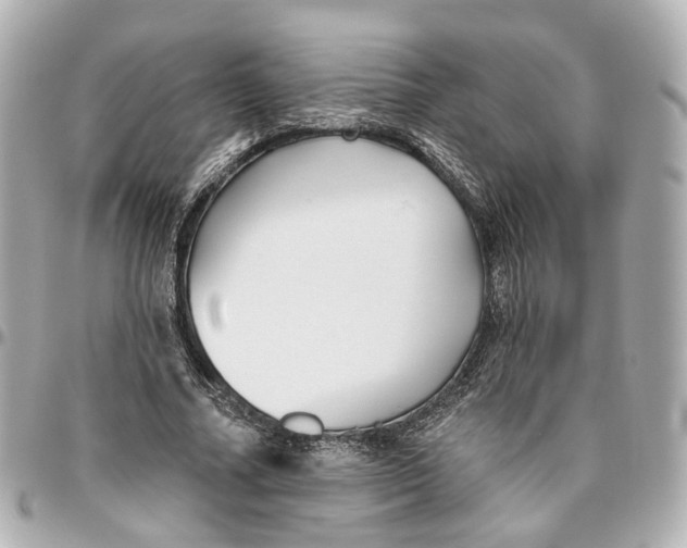 X0000095920682200802011213