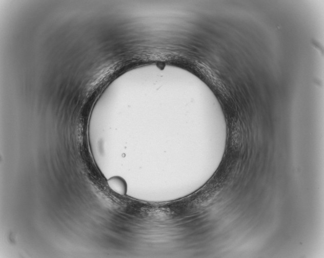 X0000095920683200802011213