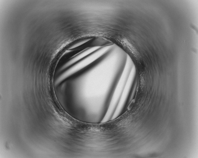 X0000095920684200802011213