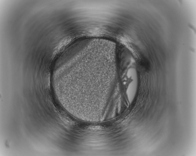 X0000095920685200802011213