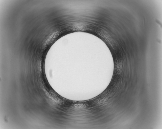 X0000095920686200802011213