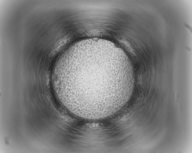 X0000095920687200802011213