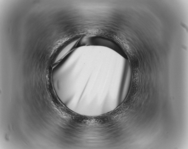 X0000095920688200802011213