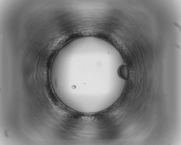 X0000095920690200802011213