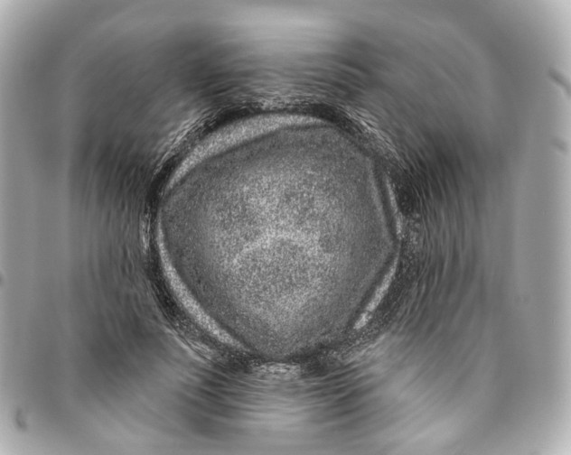 X0000095920691200802011213