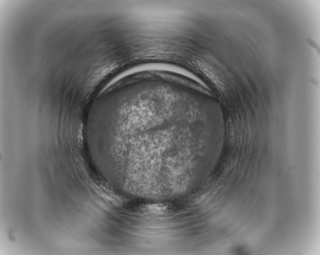 X0000095920692200802011213