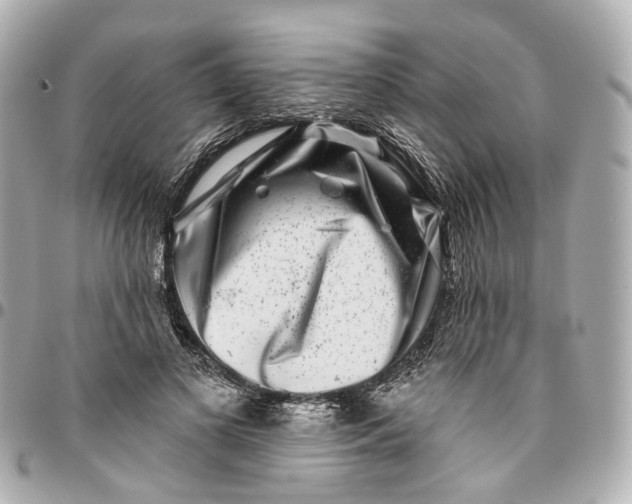 X0000095920693200802011213