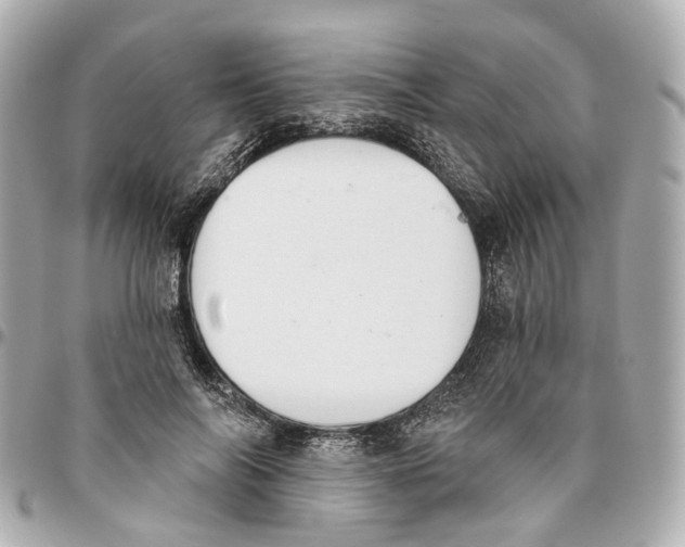 X0000095920694200802011213