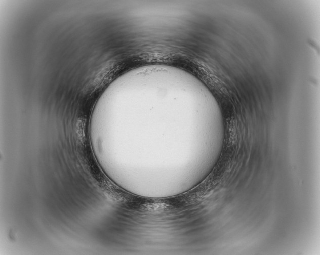 X0000095920695200802011213