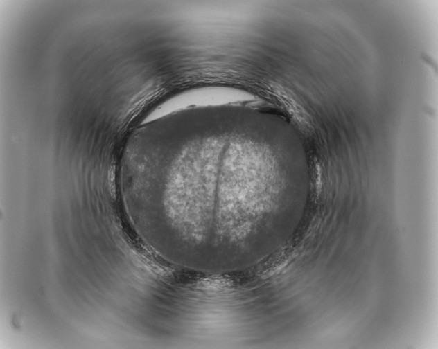 X0000095920696200802011213