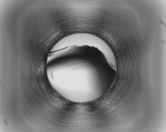 X0000095920697200802011213