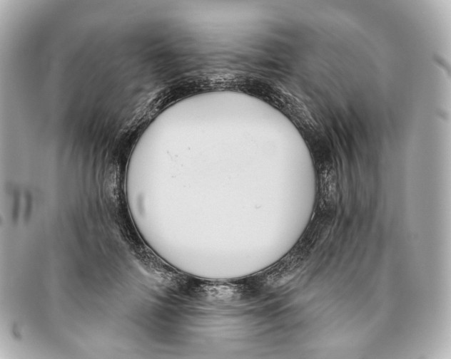 X0000095920698200802011213