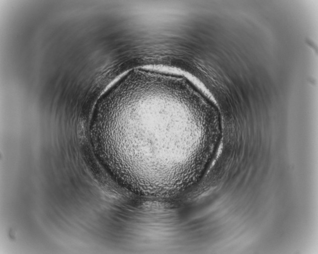 X0000095920699200802011213