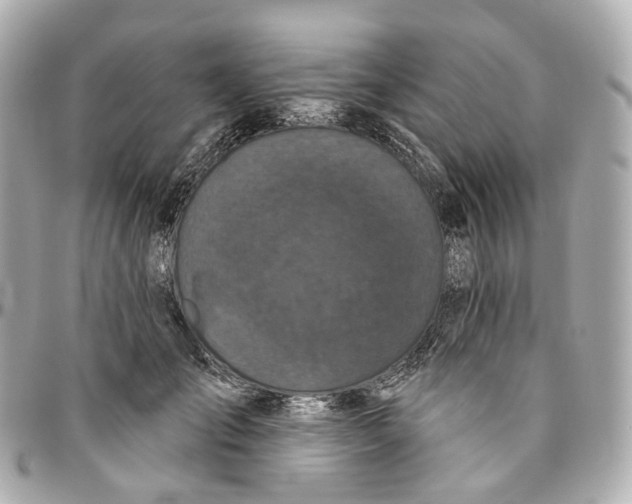 X0000095920701200802011213