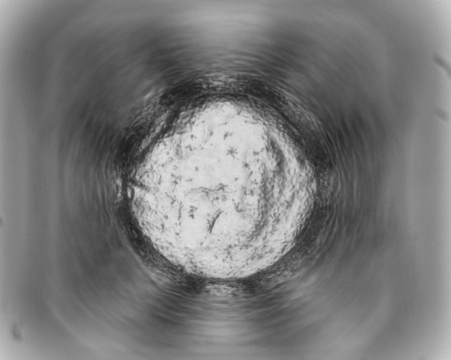 X0000095920703200802011213