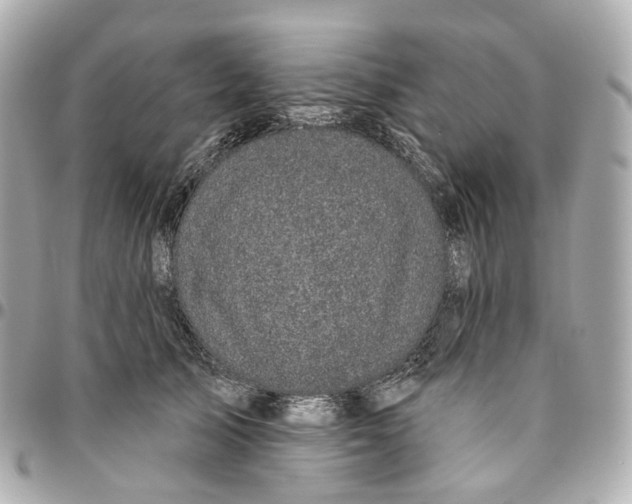 X0000095920705200802011213