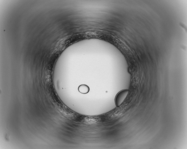 X0000095920706200802011213