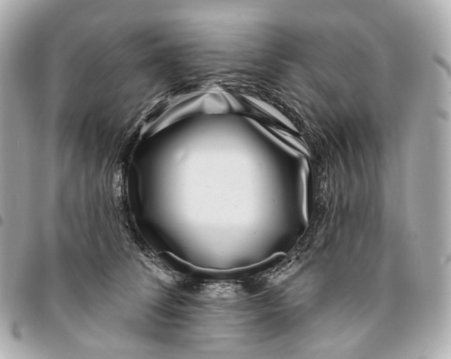 X0000095920708200802011213