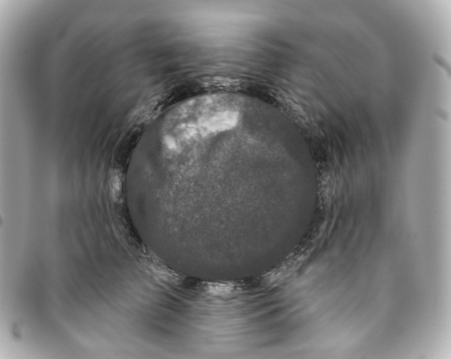 X0000095920709200802011213