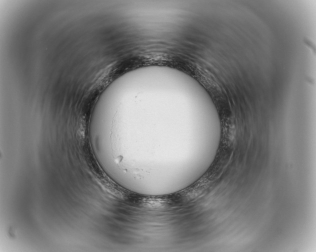 X0000095920710200802011213