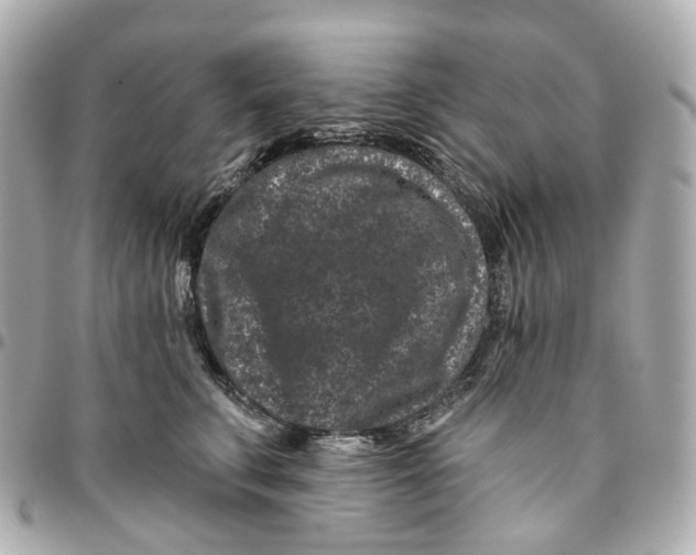 X0000095920711200802011213