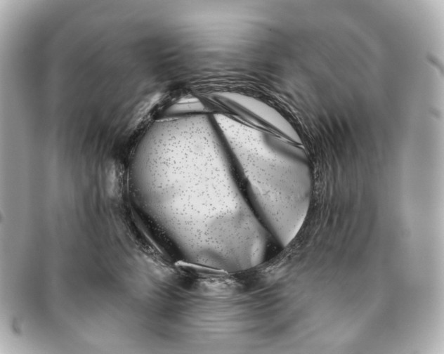 X0000095920712200802011213