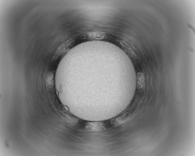 X0000095920713200802011213