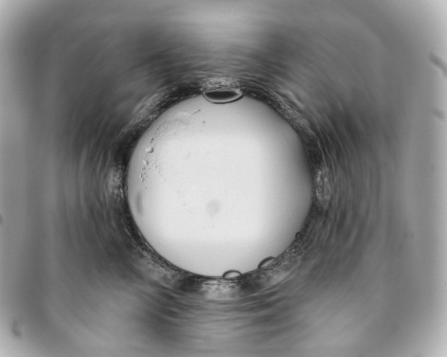 X0000095920714200802011213