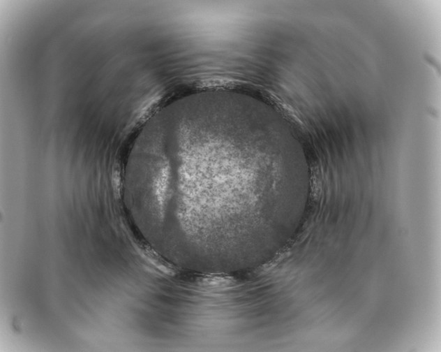 X0000095920716200802011213