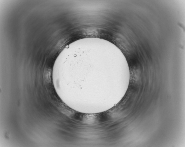 X0000095920717200802011213