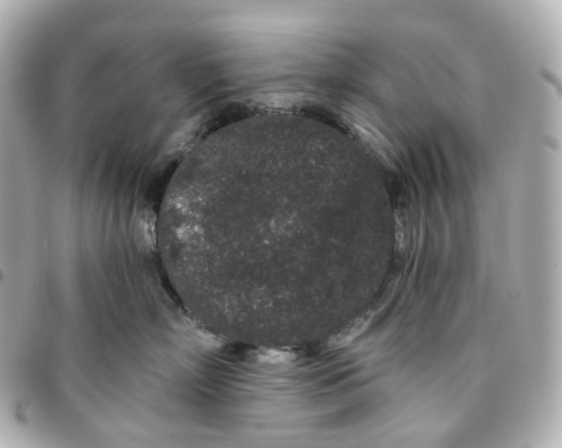 X0000095920718200802011213