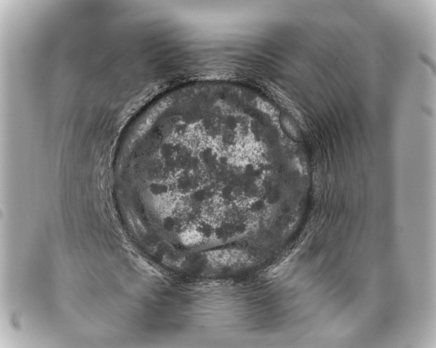 X0000095920721200802011212