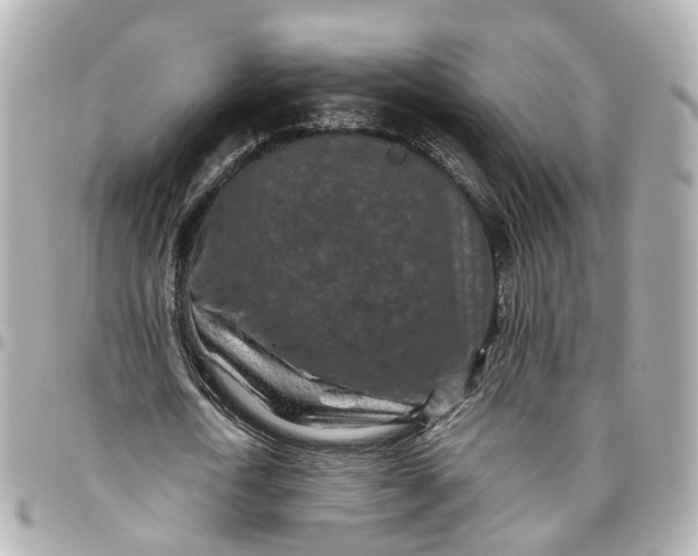 X0000095920722200802011212