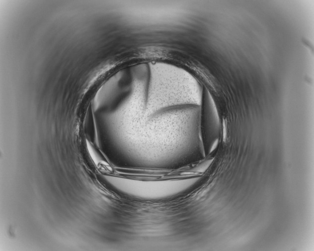 X0000095920723200802011212