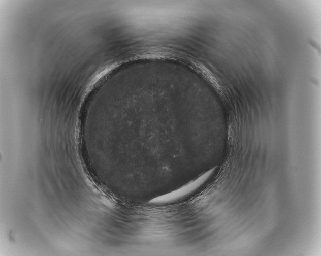 X0000095920724200802011212