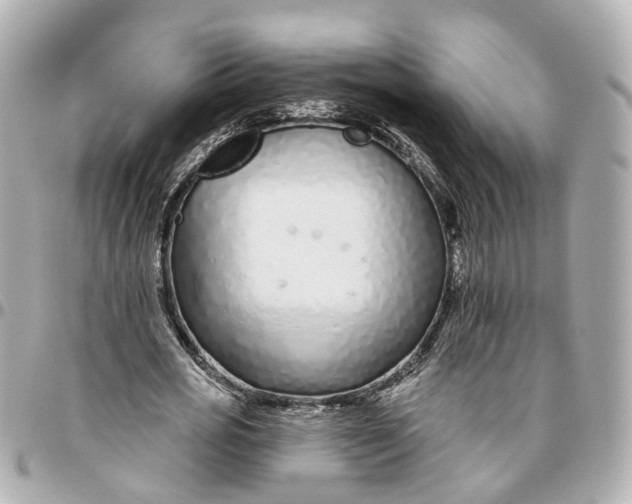 X0000095920725200802011212