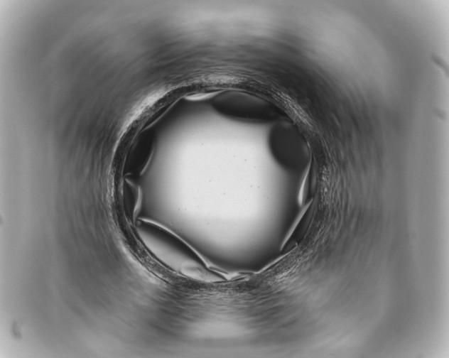 X0000095920726200802011212